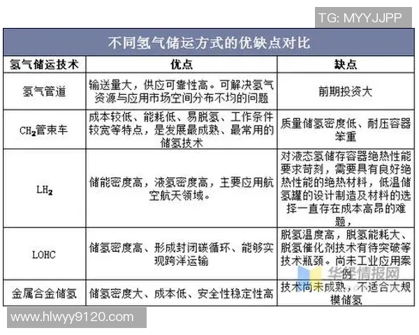 南京排球队实力分析与未来发展潜力的深入探讨